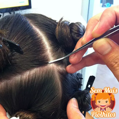 inspeção - Santa Maria da Feira - Sem Mais Piolhitos